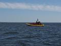 Baleines 013
